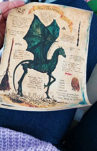 Customer photo review of Magical Creatures Canvas Poster