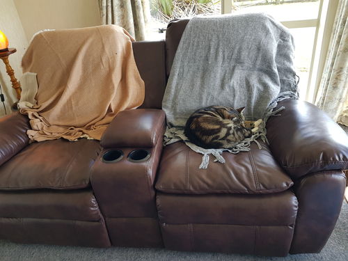 Customer photo review of Winslet Recliner 1/2/3 Seat