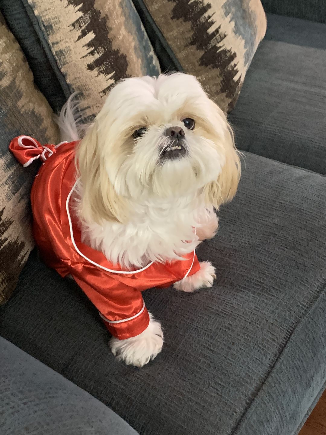 Customer photo review of Royal Canin Veterinary Diet - Hepatic Canned Dog Food