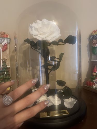 Customer photo review of White Lasting Belle