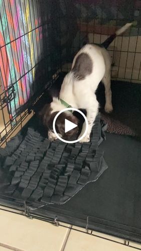 Customer video review of Fenrir Foraging Mat