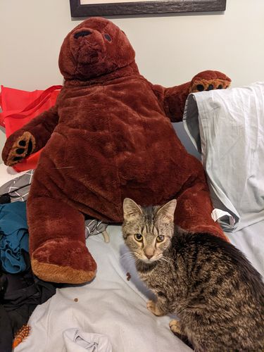 Customer photo review of SKOGGY BEAR