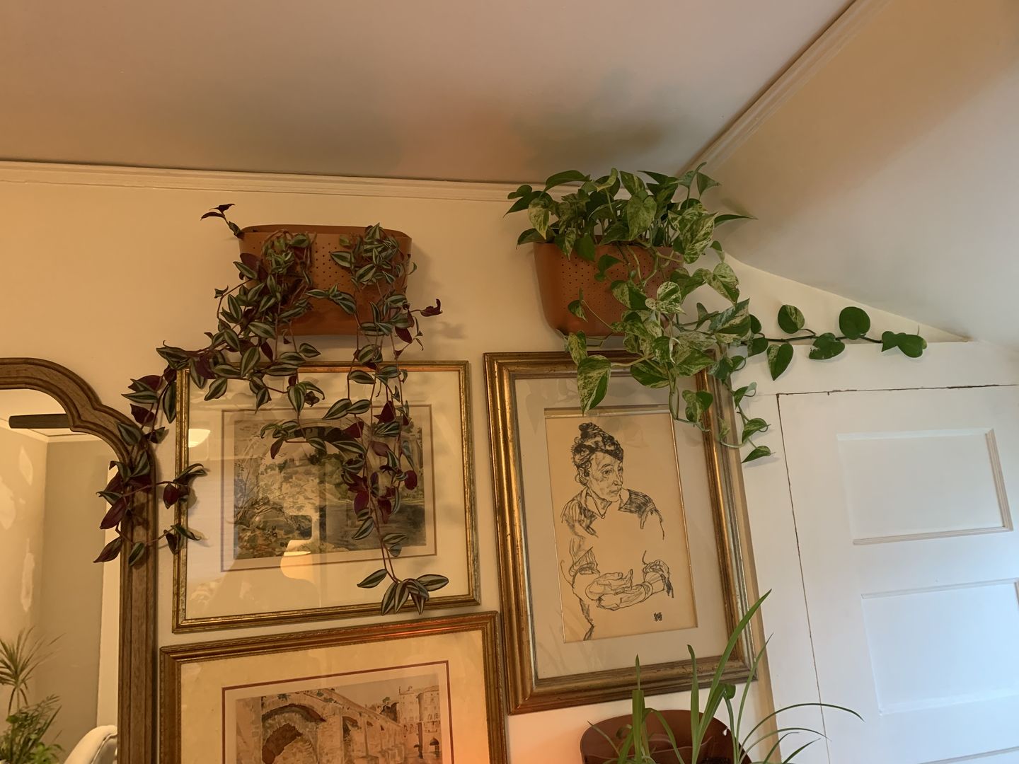 Customer photo review of Eco Terracotta Wall Planter
