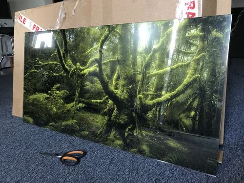 Customer photo review of Acrylic Mounting Panel - 50 x 75 cm