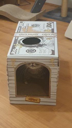 Customer photo review of Money Cat Scratcher Box House