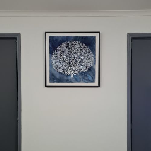 Customer photo review of Coral Of Life