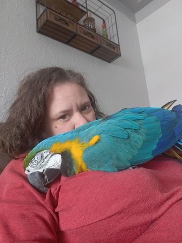 Customer photo review of Nano Silver Single Tube