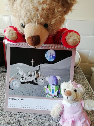 Customer photo review of Eddy the Teddy 2022 Calendar
