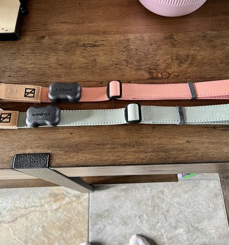 Customer photo review of Sage Collar - Recycled Ripstop