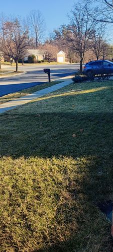 Customer photo review of 18-0-1 GreenePunch