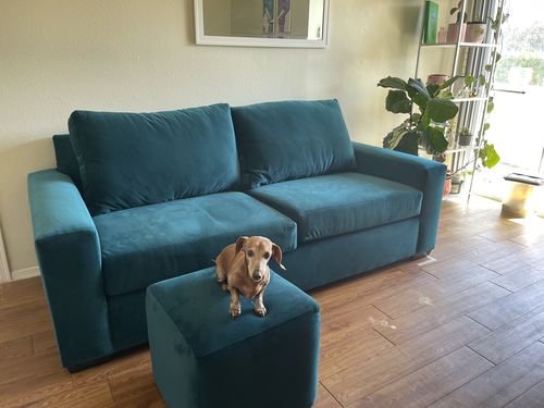 Customer photo review of Mesa Sofa