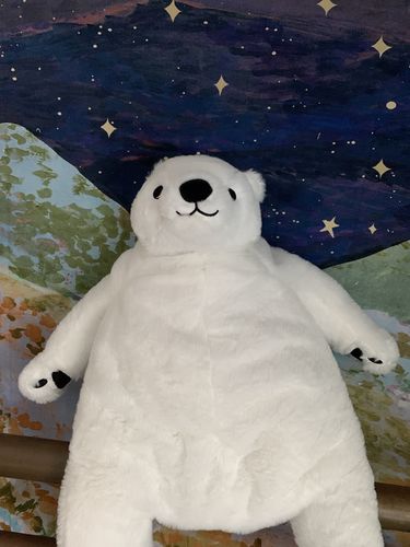 Customer photo review of SKOGGY BEAR