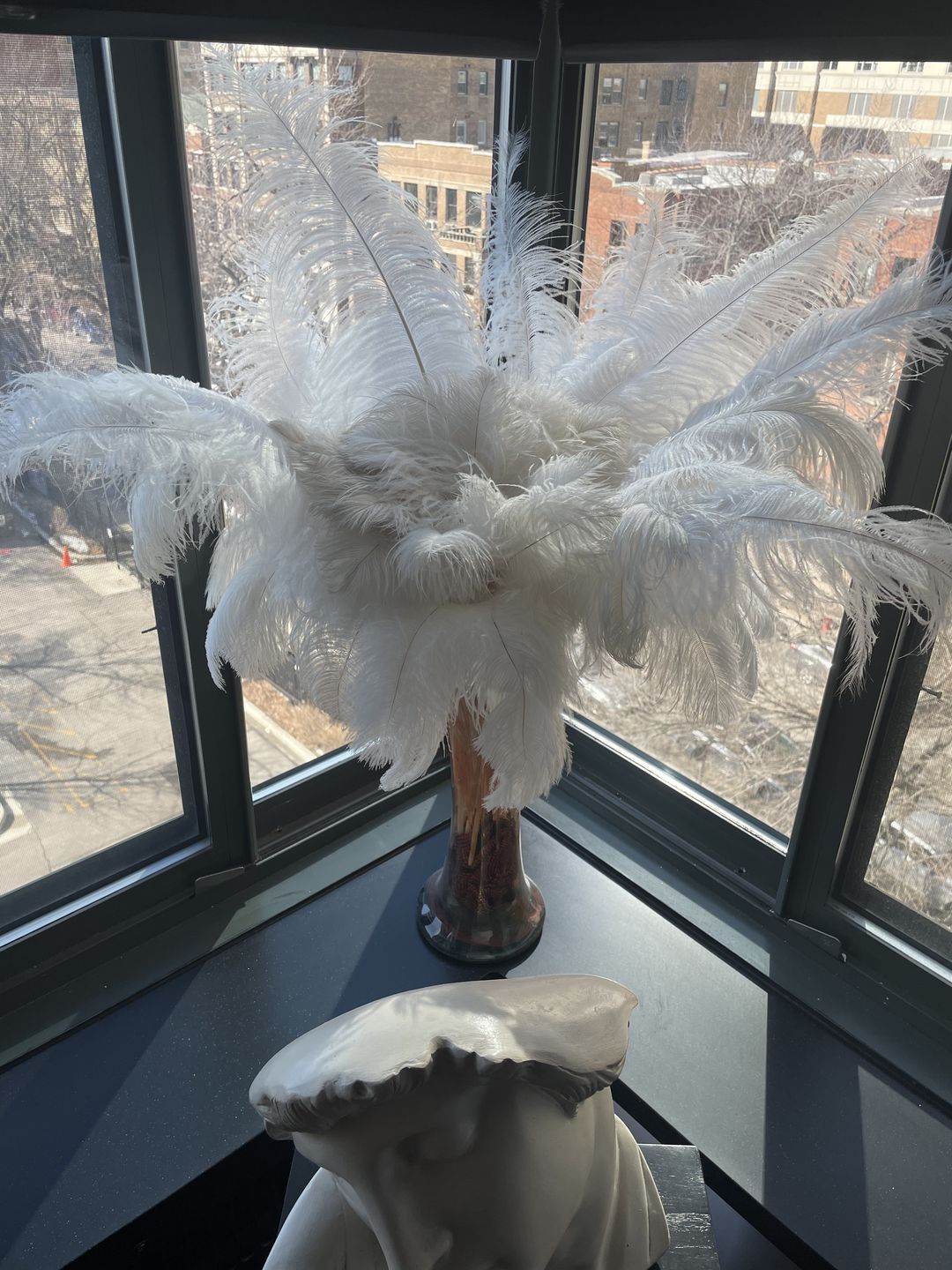 Customer photo review of Ostrich Blondene Floss Feathers