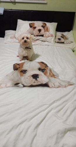 Customer photo review of Eden Country Cuisine