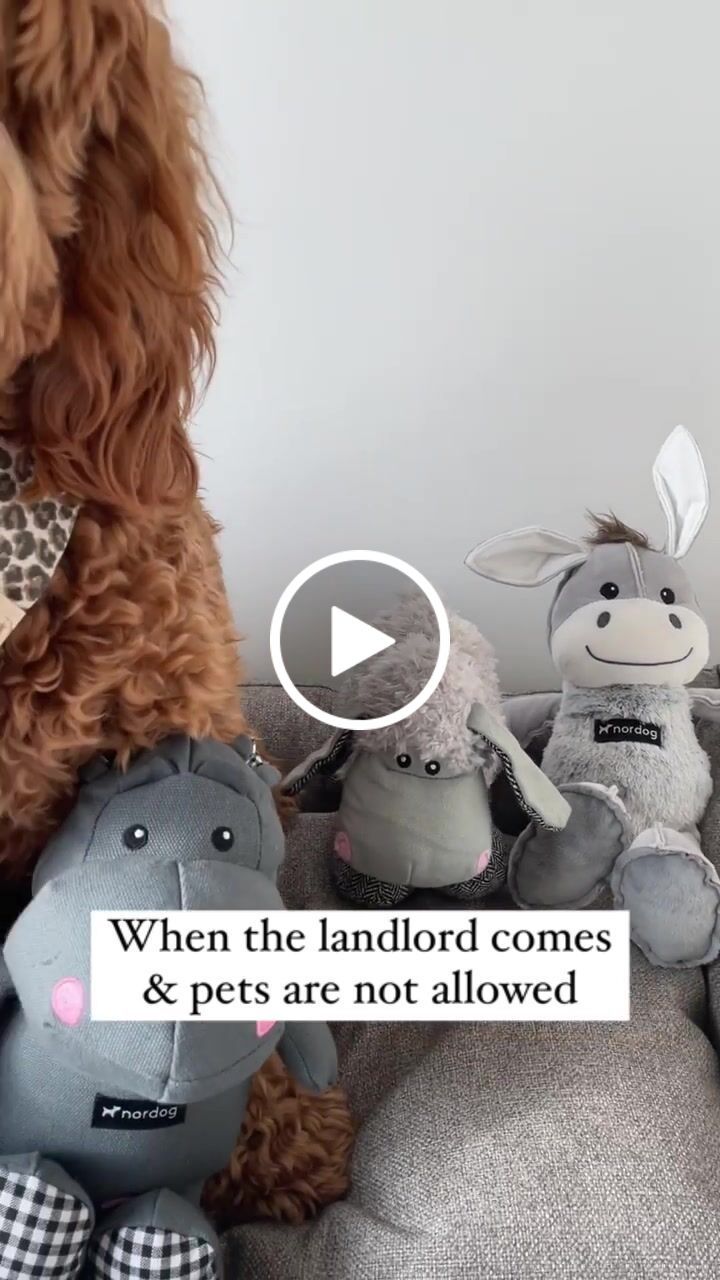 Customer video review of Hundeseng 'HYGGE' (cappuccino)