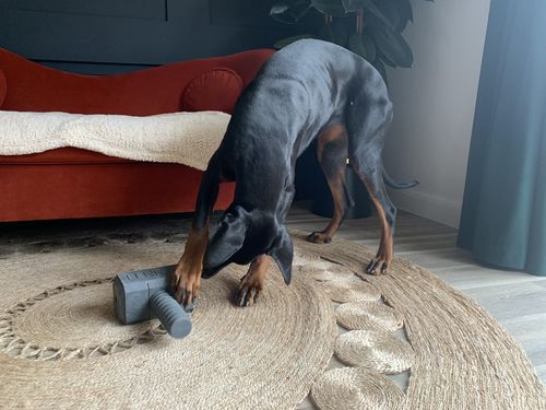 Customer photo review of The Fenrir Hammer