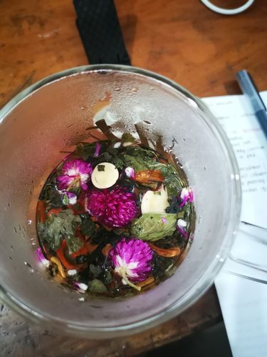 Customer photo review of Respiratory Detox & Support