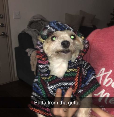 Customer photo review of Playa Poncho