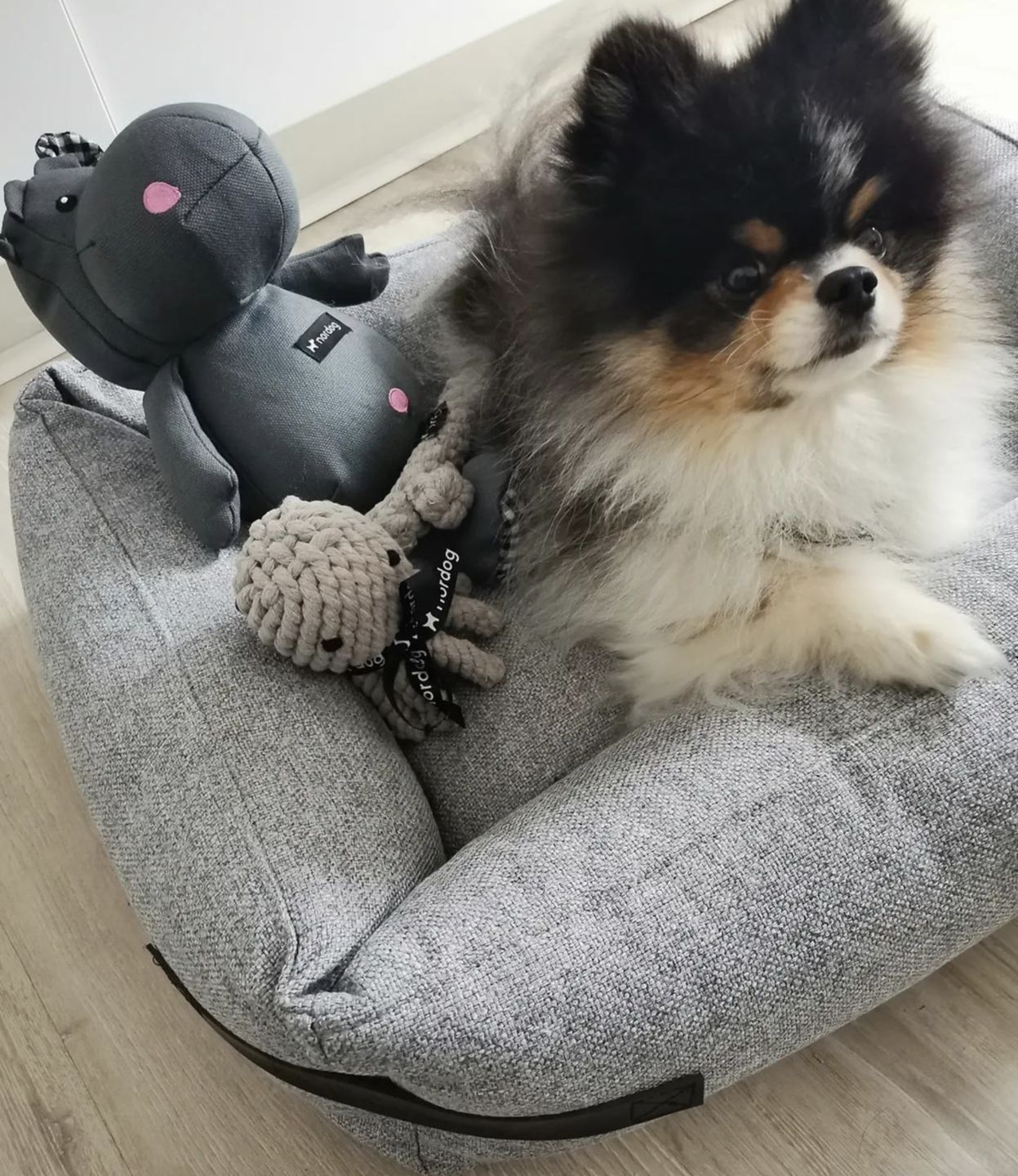 Customer photo review of Hundeseng 'HYGGE' (grå)