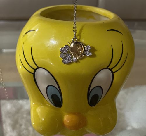 Customer photo review of Looney Tunes Tweety Bird Candle - 925 Sterling Silver Tweety Bird Necklace Collection
