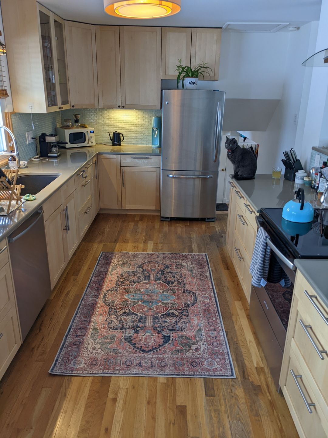 Customer photo review of Distressed Vintage Kendra Area Rug