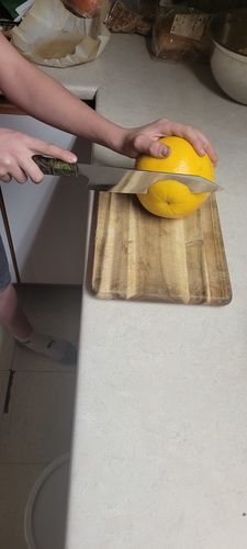 Customer photo review of "Ryujin" Damascus Steel Kiritsuke Chef's Knife