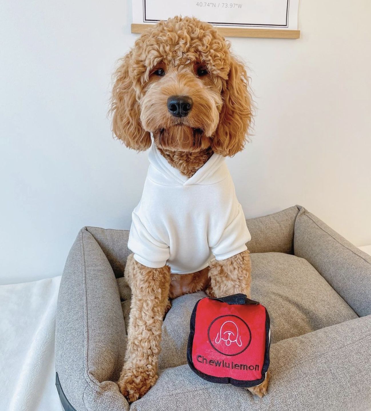 Customer photo review of Hundeseng 'HYGGE' (cappuccino)