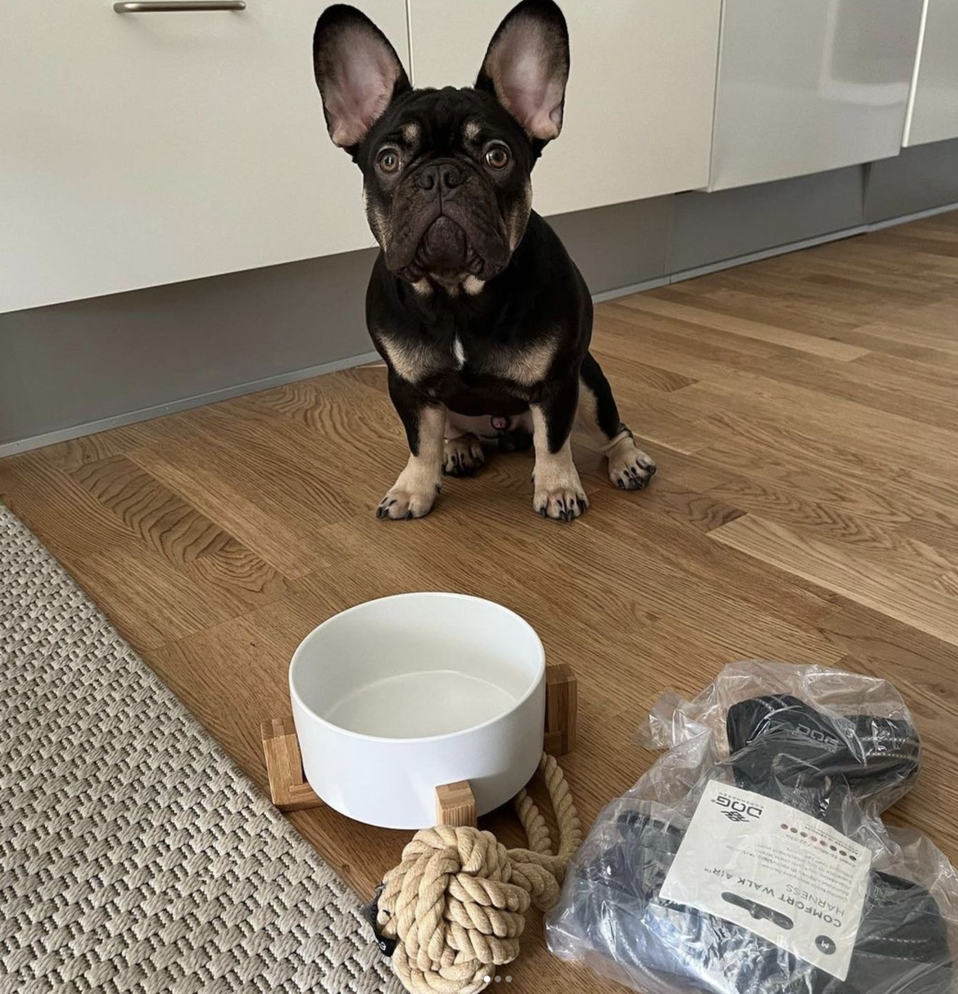 Customer photo review of Hundeskål med træ (grå)