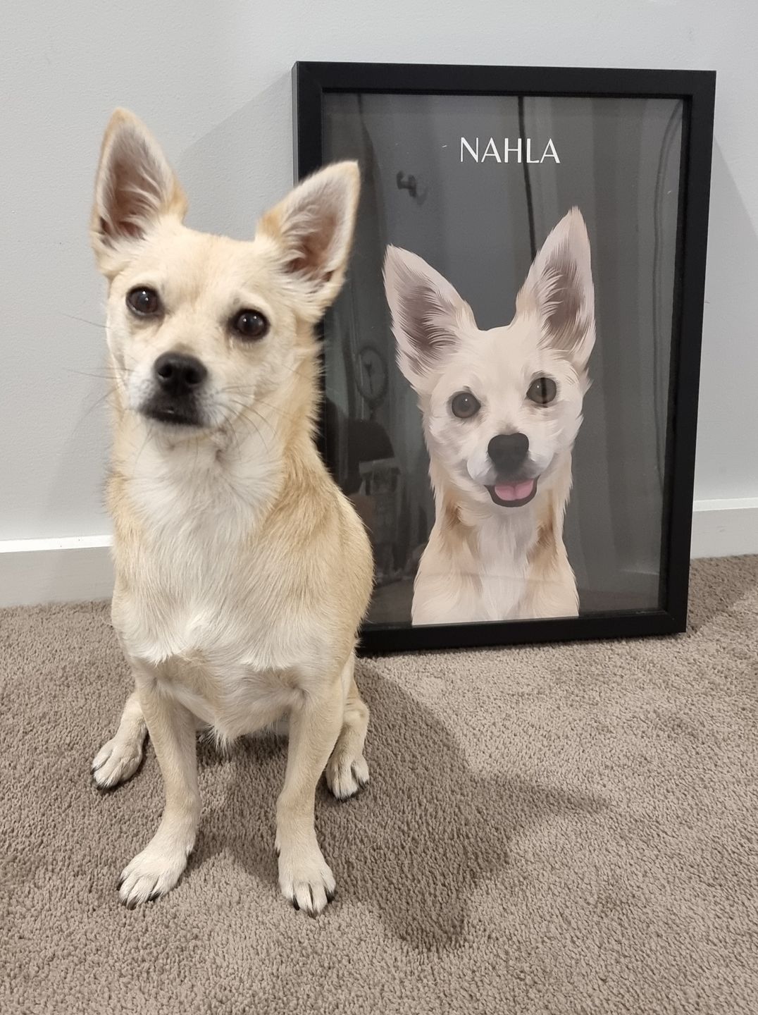 Customer photo review of One-Pet Portrait