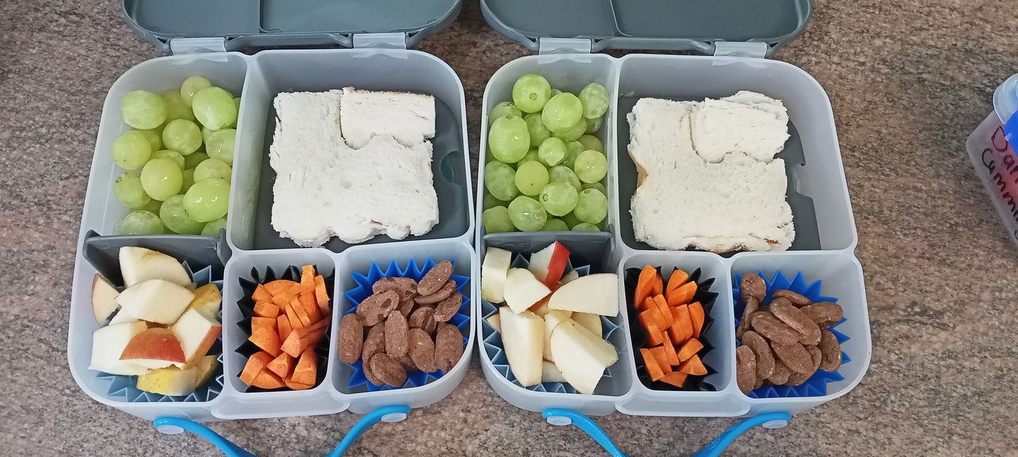 Customer photo review of b.box Bento Lunchbox  – Blue Slate - PRE-ORDERS OPEN