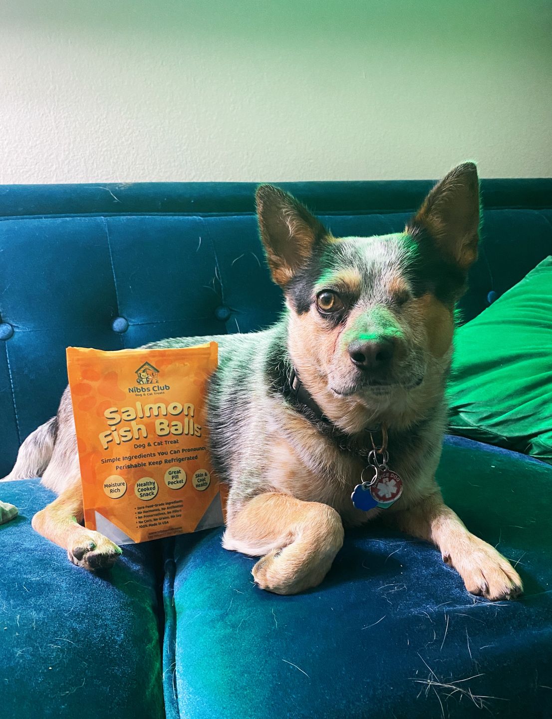 Customer photo review of Dog and Cat Salmon Ball Treats