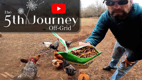 Customer photo review of GrubTerra Dried Larvae