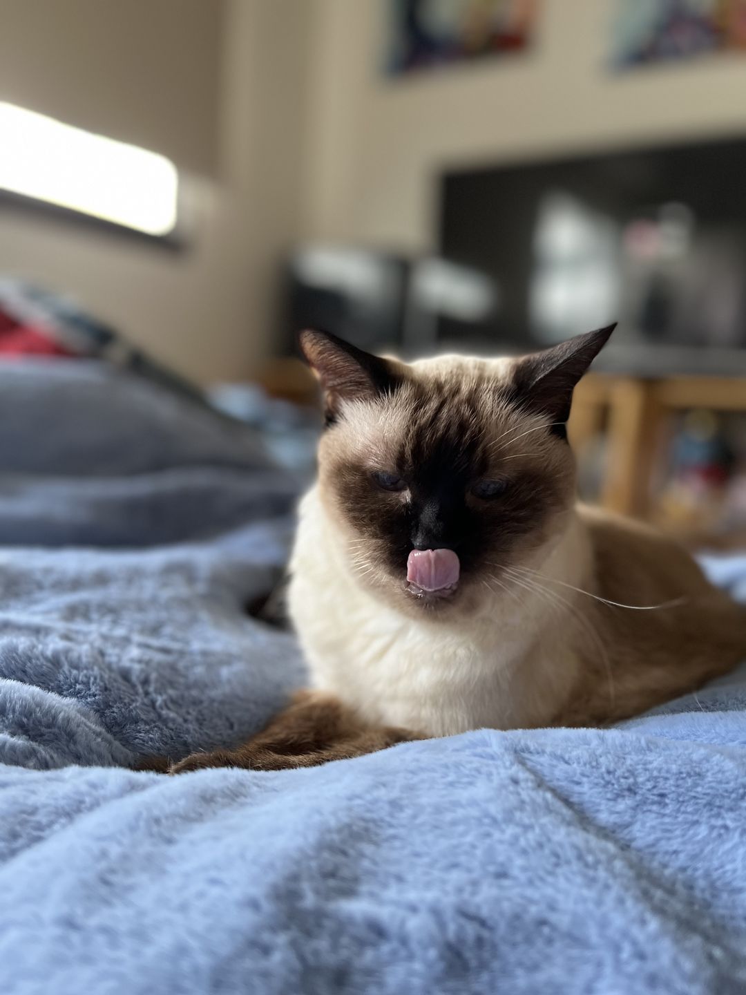 Customer photo review of arrr Sleeping Blanket