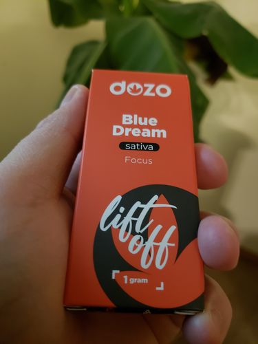Customer photo review of Dozo Blue Dream 1g Delta 8 Cartridge