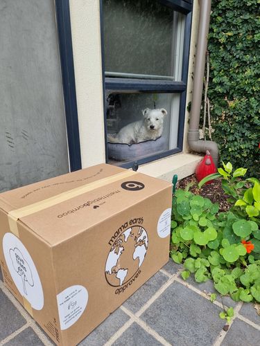 Customer photo review of Family Pack (Biggest Savings)