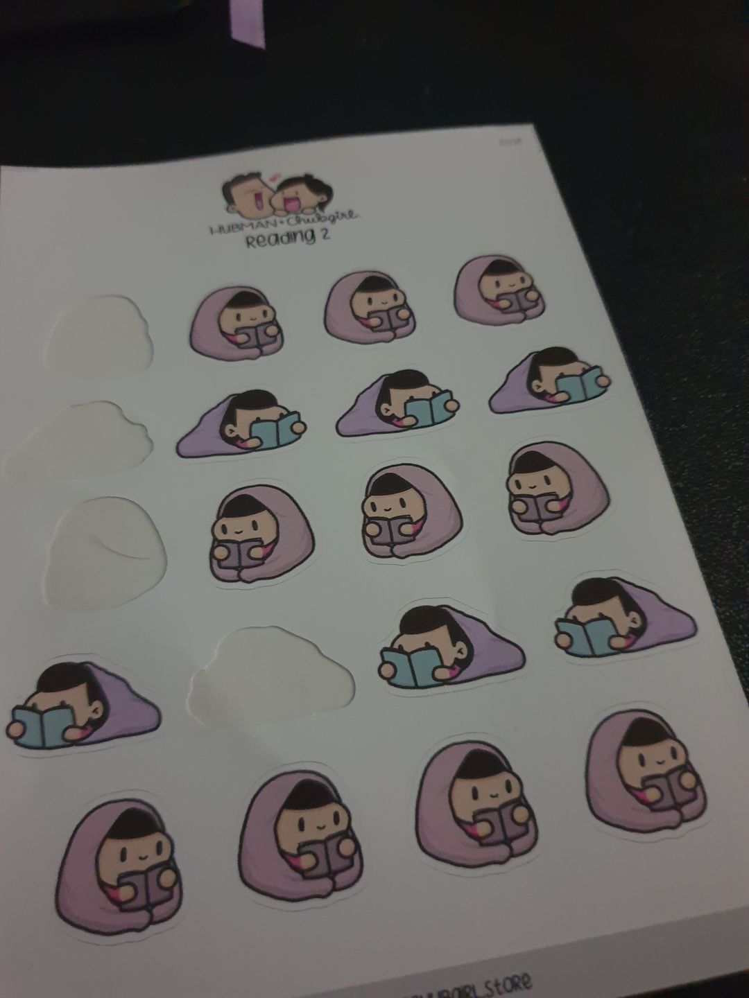 Customer photo review of Reading 2 Planner Stickers