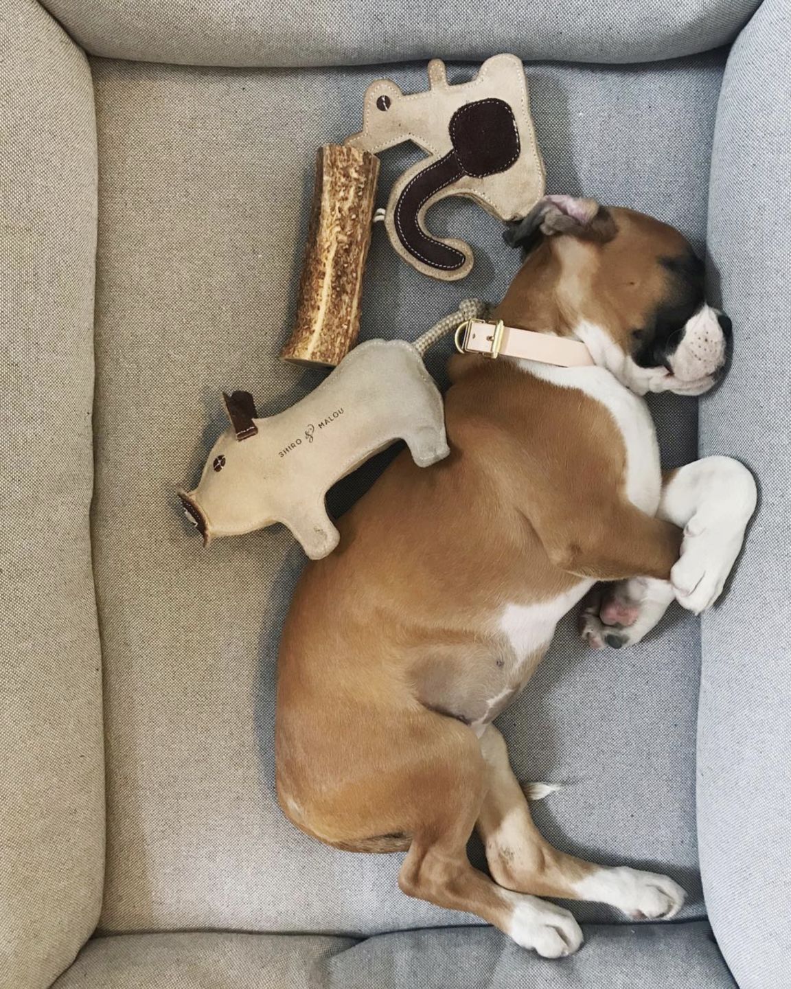 Customer photo review of Hundeseng 'HYGGE' (grå)