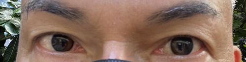 Customer photo review of Secretive Kristin 1 Day - Dusk Brown