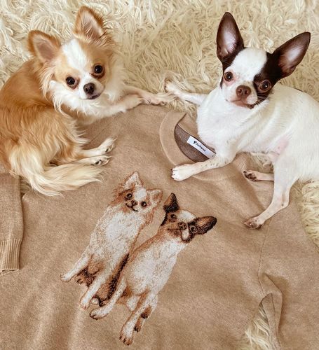 Customer photo review of Full-Body Pet Custom Sweater