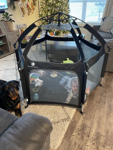 Customer photo review of Pop N' Go® Playpen