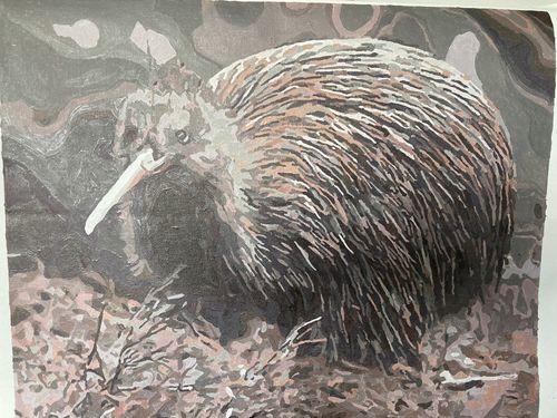 Customer photo review of Little Brown Kiwi