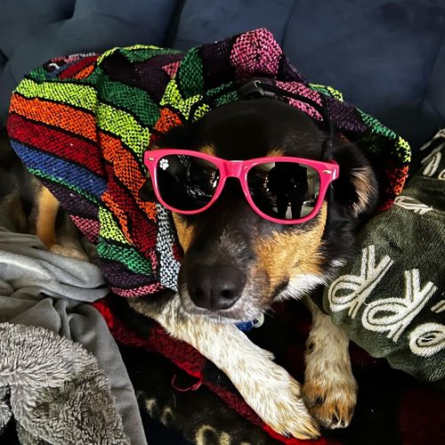 Customer photo review of Playa Poncho