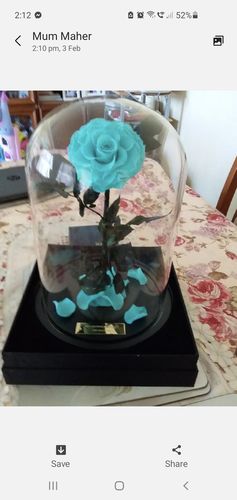 Customer photo review of Aqua Lasting Belle
