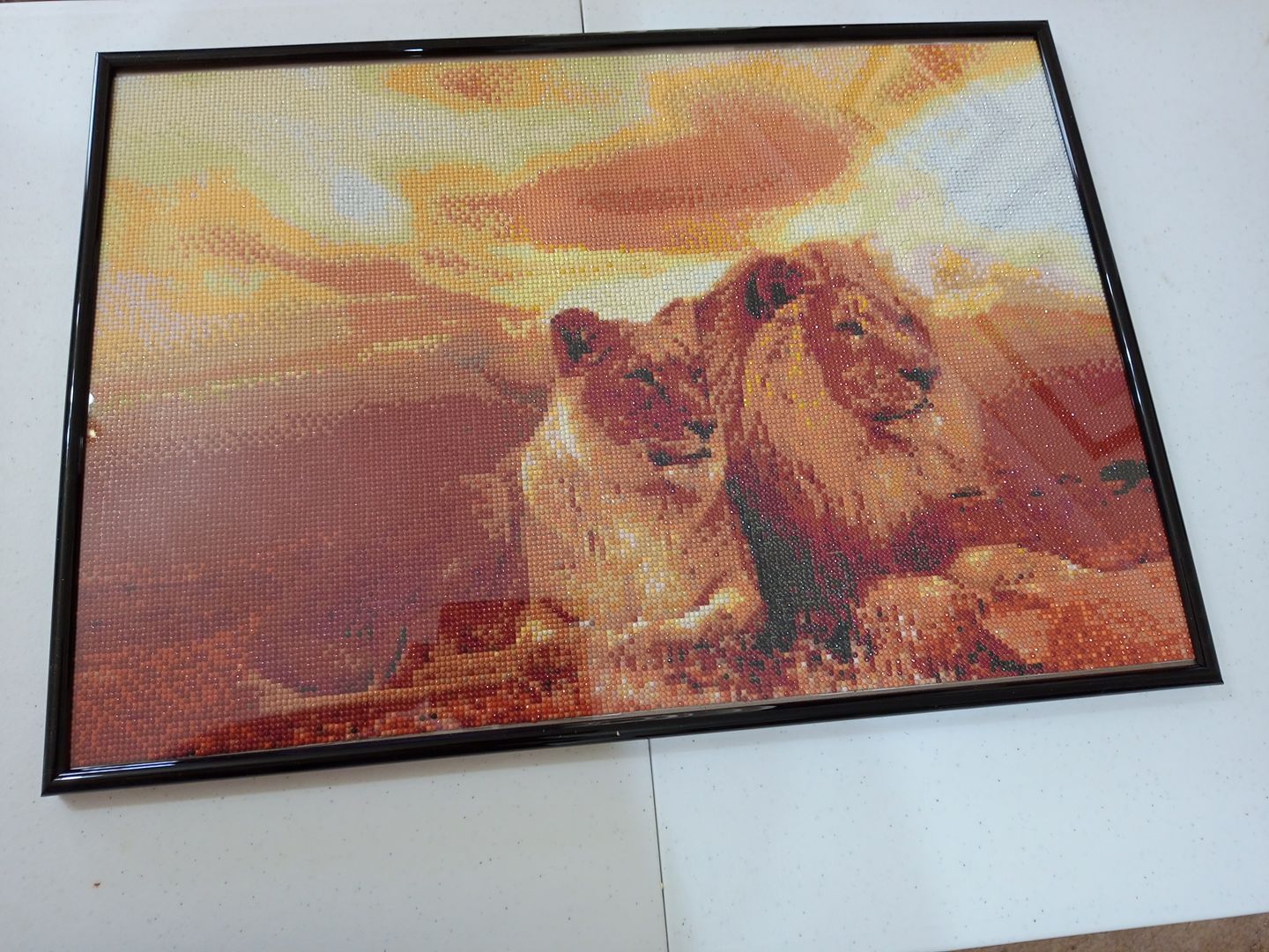 Customer photo review of Lion and Lioness - Premium 5D Poured Glue Diamond Painting Kit