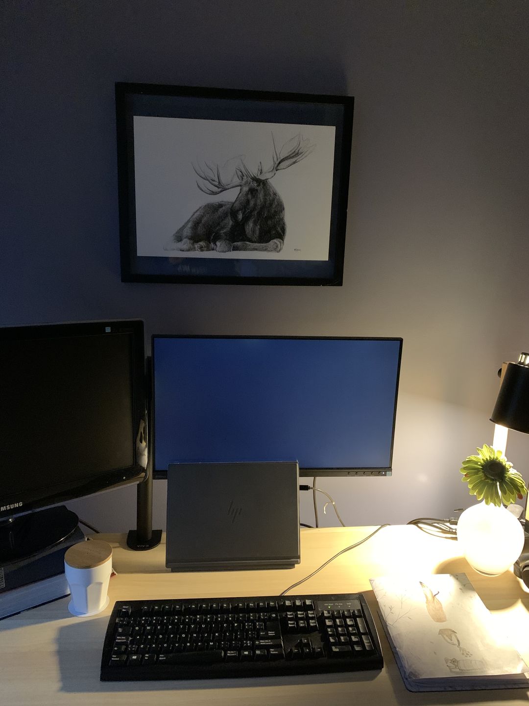 Customer photo review of Majestic Moose