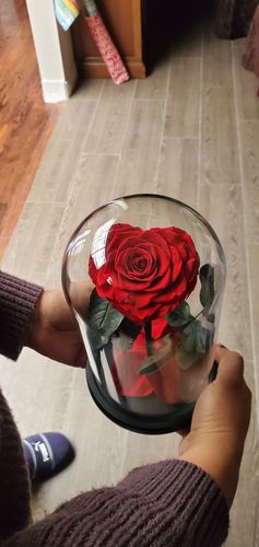 Customer photo review of HEART SHAPE PRESERVED ROSE IN GLASS DOME WITH HEART LOVE NECKLACE