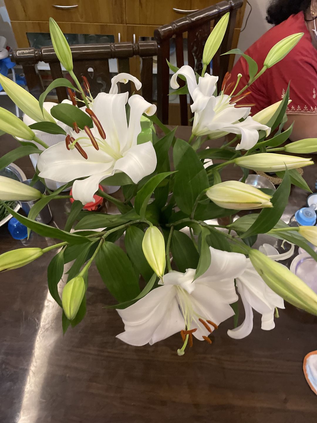 Customer photo review of Oriental Lily