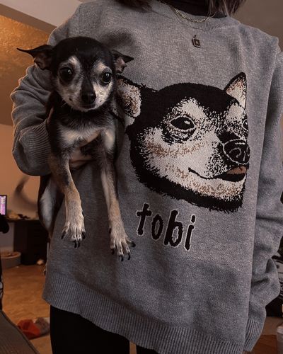 Customer photo review of Portrait Only Pet Custom Sweater