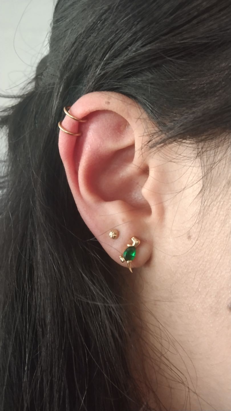 Customer photo review of Aretes de Dinosaurio