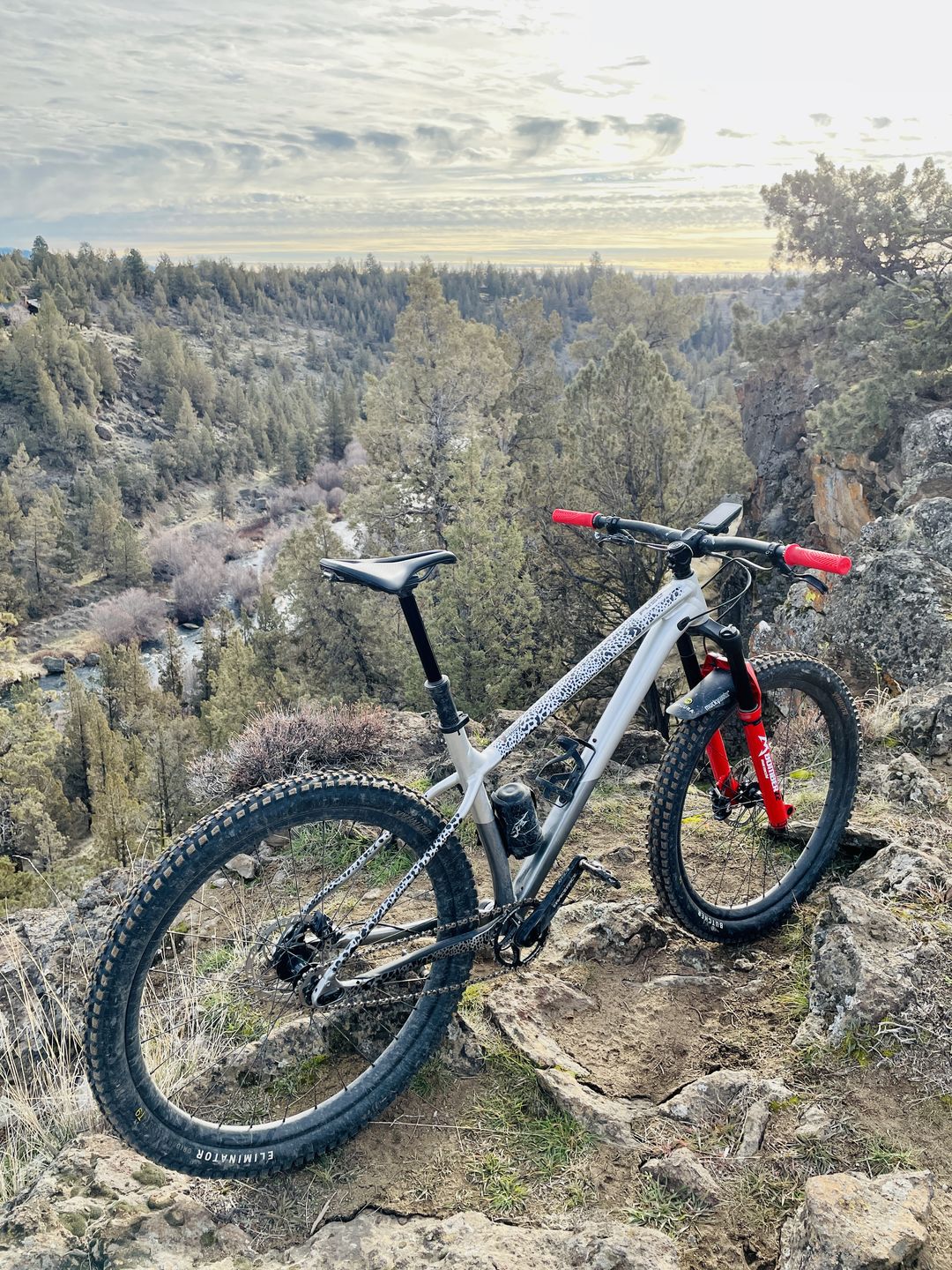 Customer photo review of Cheetah Frame Keeper